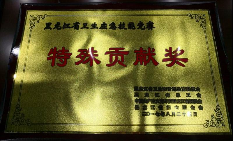 黑龍江省衛(wèi)生應(yīng)急技能競賽特殊貢獻(xiàn)獎